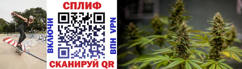 Купить ТГК  Бошки Шишки  Меф мяу мяу  ГАШИШ  Новое Девяткино