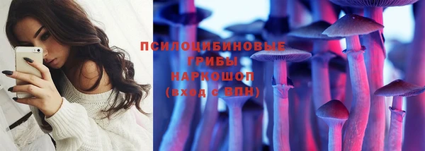 сатива Семикаракорск