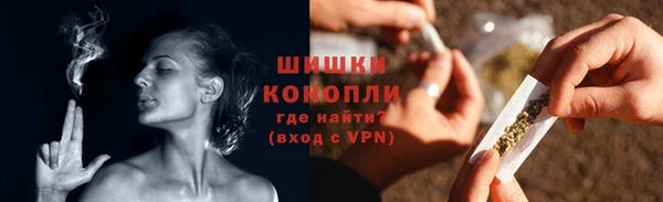 сатива Семикаракорск