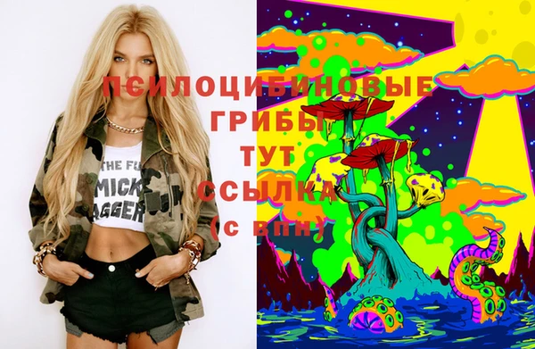 сатива Семикаракорск