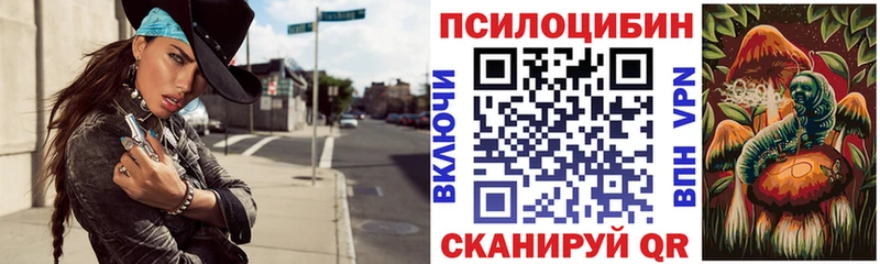 Галлюциногенные грибы мицелий Купить где Новое Девяткино